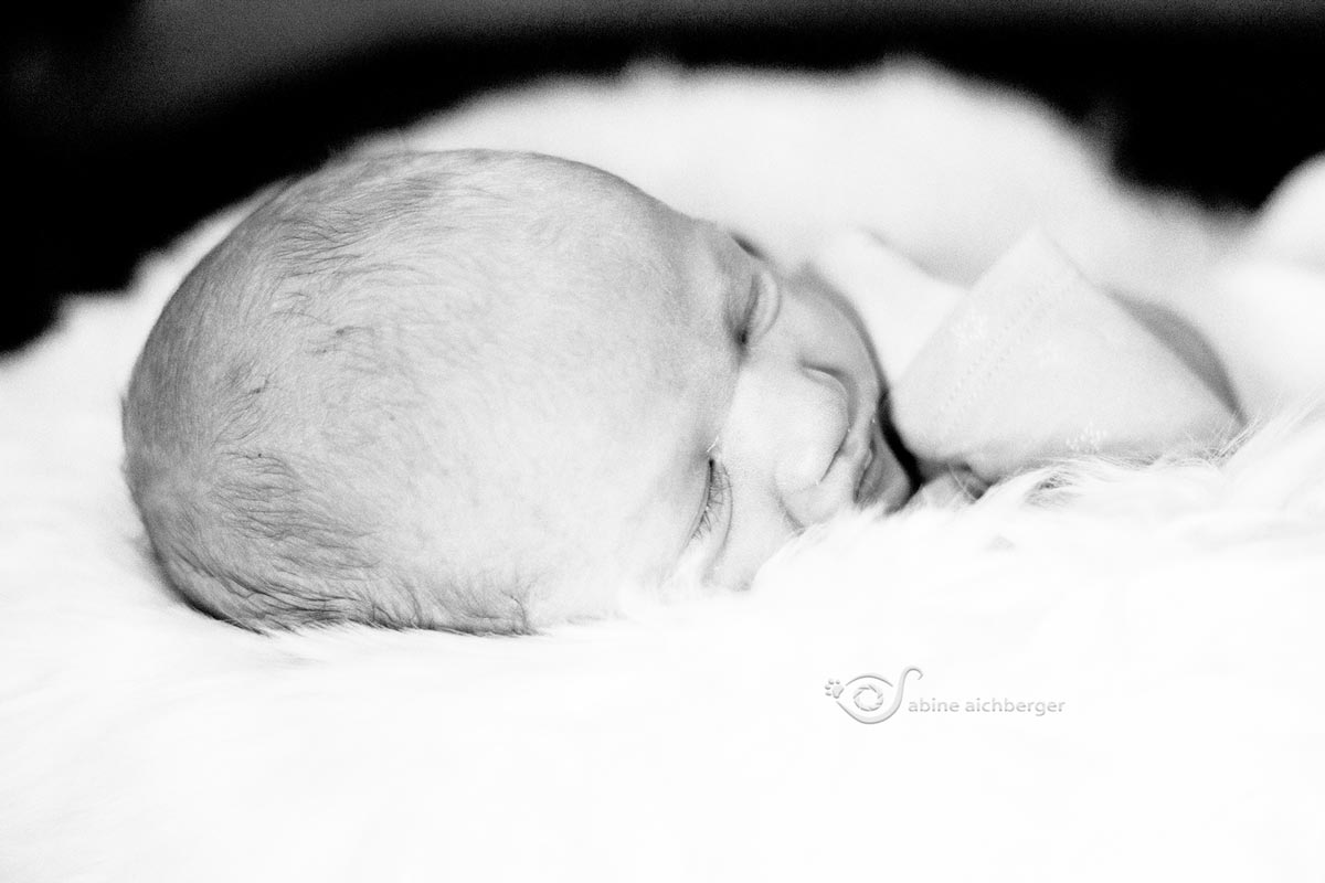 Fotografie Sabine Aichberger, Newborn, Baby, Neugeborenenfotografie, Smash the cake, Linz